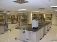 Natural History Lab Renovation