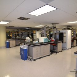 Smithsonian National Museum of Natural History Ground and 1st Floor Lab  Renovation​