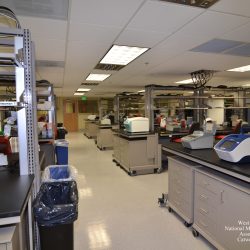 Smithsonian National Museum of Natural History Ground and 1st Floor Lab  Renovation​