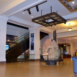 National Museum of Natural History- Central Halls Renovation​